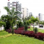 Administração municipal preserva praças e avenidas da cidade - Fotos: Wellington Barreto