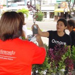 Dia do Meio Ambiente: troca de lixo reciclável por plantas ornamentais - Fotos: Márcio Garcez