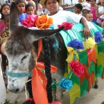Mês de junho é encerrado com festa nas escolas da rede municipal - Fotos: Walter Martins
