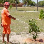 Prefeitura mantém cuidado com projeto paisagístico da cidade também durante o inverno - Fotos: Wellington Barreto