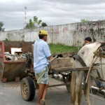 Serviço de coleta de entulhos auxilia cidadãos aracajuanos - Fotos: Wellington Barreto