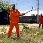 Orçamento Participativo atende demandas da comunidade - Fotos: Wellington Barreto e Lúcio Telles