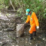 Serviço de limpeza de mangues é executado na 13 de Julho - Fotos: Ascom/Emsurb