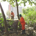 Serviço de limpeza de mangues é executado na 13 de Julho - Fotos: Ascom/Emsurb