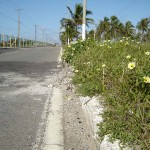 Prefeitura de Aracaju executa serviço de limpeza na rodovia Melício Machado - Fotos: Ascom/Emsurb