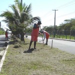 Prefeitura de Aracaju executa serviço de limpeza na rodovia Melício Machado - Fotos: Ascom/Emsurb