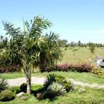 Parque da Sementeira atrai população por ser uma importante reserva natural  - Fotos: Márcio Garcez