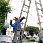 Podação de árvores é realizada diariamente pela Emsurb nos bairros de Aracaju  - Fotos: Wellington Barreto