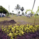 Parque da Sementeira ganha mais 277 mudas no Dia da Árvore - Fotos: Lúcio Telles