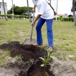 Parque da Sementeira ganha mais 277 mudas no Dia da Árvore - Fotos: Lúcio Telles