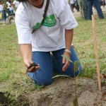 Alunos da rede municipal de ensino participam do plantio de mudas de árvores - Fotos: Walter Martins