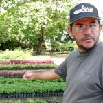 Aracaju se preparou para receber a estação das flores - Fotos: Wellington Barreto