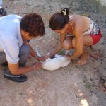 Campanha de vacinação Antirábica imuniza mais de 95% dos animais em Aracaju - Fotos: Ascom/SMS