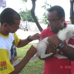 SMS pretende vacinar 45 mil cães e 10 mil gatos - Foto: Ascom/SMS