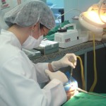 Saúde Municipal realizou mais de 11 mil atendimentos odontológicos em agosto - Fotos: Ascom/SMS