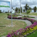 Plantando a vida: Parque da Sementeira vai receber plantio em mais oito áreas de reflorestamento - Fotos: Márcio Garcez e Ascom/Emsurb