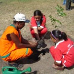Plantando a vida: Parque da Sementeira vai receber plantio em mais oito áreas de reflorestamento - Fotos: Márcio Garcez e Ascom/Emsurb