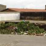 Sucesso da fiscalização da Emsurb depende da população - Foto: Ascom/Emsurb