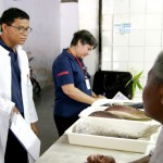 Vigilância Sanitária realiza fiscalização na Central de Abastecimento de Aracaju - Fotos: Wellington Barreto
