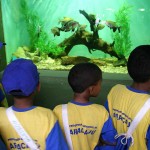 Alunos da rede municipal visitam Oceanário através do projeto AABB Comunidade  - Fotos: Márcio Garcez