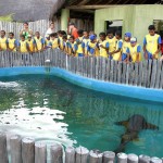 Alunos da rede municipal visitam Oceanário através do projeto AABB Comunidade  - Fotos: Márcio Garcez