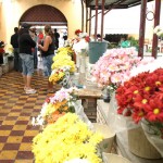 Comerciantes da Passarela das Flores esperam aumento nas vendas com o Dia de Finados - Fotos: Wellington Barreto