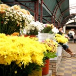 Comerciantes da Passarela das Flores esperam aumento nas vendas com o Dia de Finados - Fotos: Wellington Barreto