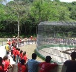 Semasc proporciona dia de lazer para crianças e adolescentes - Fotos: Ascom/Semasc