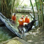 Emsurb executa limpeza no zôoparque da praça Olímpio Campos - Fotos: Ascom/Emsurb