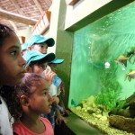 Crianças do OP Mirim conhecem a vida marinha no Oceanário de Aracaju - Fotos: Márcio Garcez
