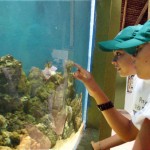Crianças do OP Mirim conhecem a vida marinha no Oceanário de Aracaju - Fotos: Márcio Garcez