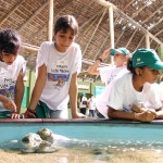 Crianças do OP Mirim conhecem a vida marinha no Oceanário de Aracaju - Fotos: Márcio Garcez