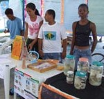 Adolescentes atendidos pela Semasc multiplicam informações com a comunidade em Feira de Saúde - Fotos: Ascom/Semasc