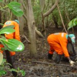 Prefeitura mantém limpeza constante nos mangues de Aracaju - Fotos: Ascom/Emsurb