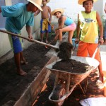 Alunos da EMEF Santa Rita de Cássia trabalham o paisagismo na escola - Fotos: Walter Martins