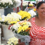 Floristas e beijuzeiras elogiam estrutura do Mercado Central de Aracaju - Fotos: Sílvio Rocha