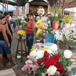 Floristas e beijuzeiras elogiam estrutura do Mercado Central de Aracaju - Fotos: Sílvio Rocha
