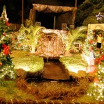 Auto de Natal é encenado no presépio municipal - Fotos: Wellington Barreto