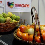Evento discute diretrizes para plano de segurança alimentar - Foto: André Moreira