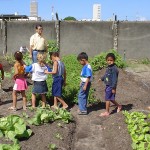 Banese mantém horta que produz alimentos sem agrotóxicos no Same - Foto: Ascom/Banese