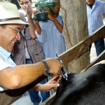 Governo lança campanha de vacinação contra febre aftosa - Foto: Márcio Dantas/ASN