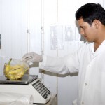 Vigilância Sanitária analisa teor de agrotóxico em alimentos - Foto: Isa Vanny