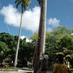 Dia Nacional do Bombeiro é comemorado com a comunidade - Foto: Ascom/SSP