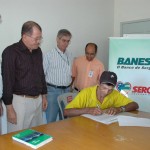 Banese financia cultura de arroz no Baixo São Francisco - Foto: Luiz Carlos Moreira/Agricultura