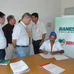 Banese financia cultura de arroz no Baixo São Francisco - Foto: Luiz Carlos Moreira/Agricultura