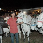 Governador prestigia Festival do Jegue