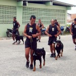 Policiais do Choque formados para atuação com cães - Foto: Ascom/SSP