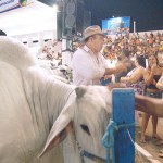 Exposição Agropecuária de Sergipe atrai mais de 40 mil pessoas - Foto: Janaína Santos