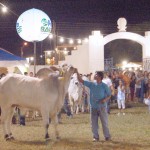 Exposição Agropecuária de Sergipe atrai mais de 40 mil pessoas - Foto: Janaína Santos