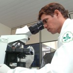 Saúde assegura que não há casos de febre amarela registrados em Sergipe - Foto: Wellington Barreto